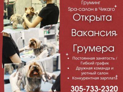 Требуется опытный грумер